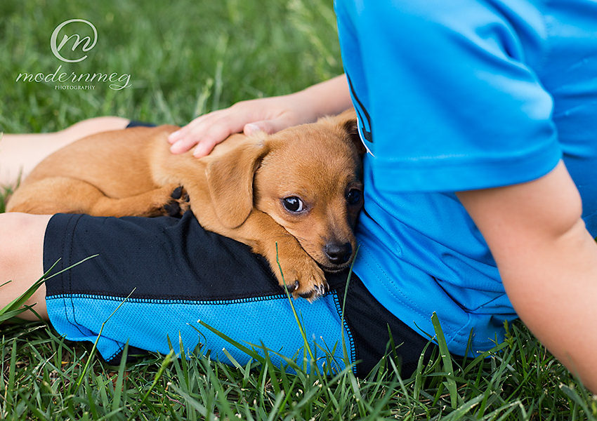 Hot Diggity Dog {Lubbock Pet Photography}